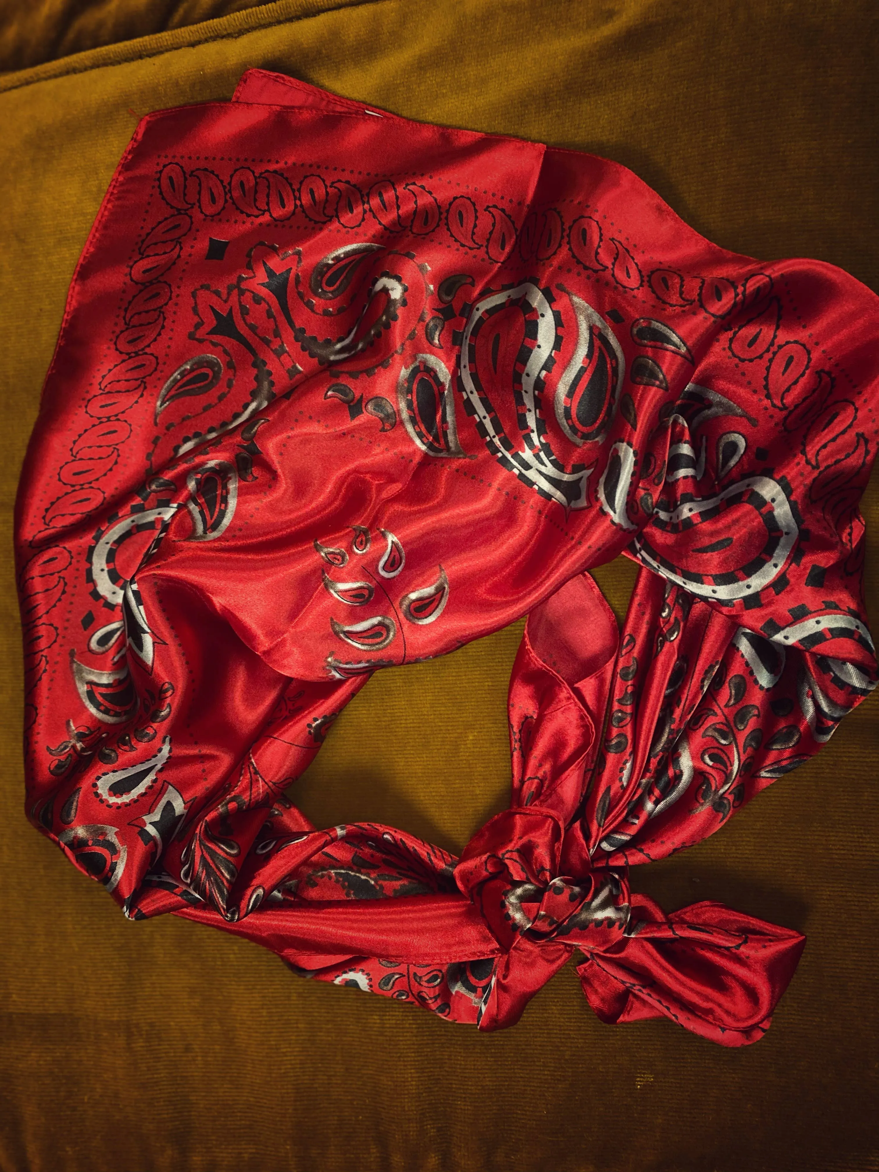 Brilliant Red Bandana Wild Rag