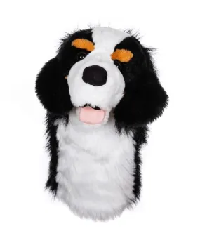 Daphne's headcover BERNESE MOUNTAIN DOG